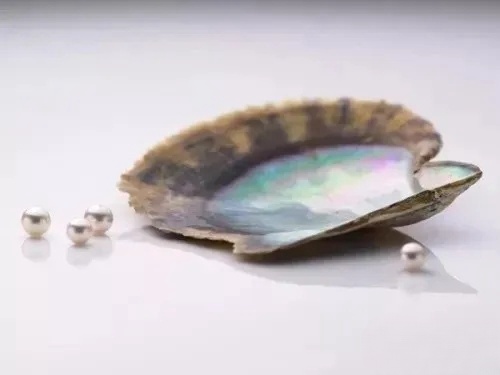 Mother of Pearl